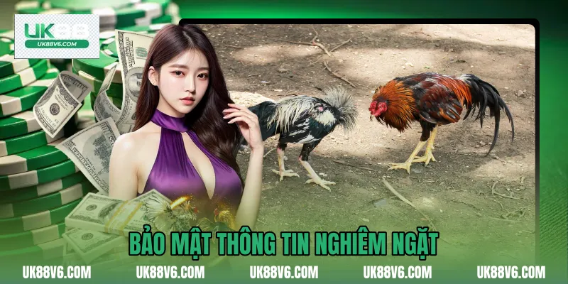 Bảo mật thông tin nghiêm ngặt