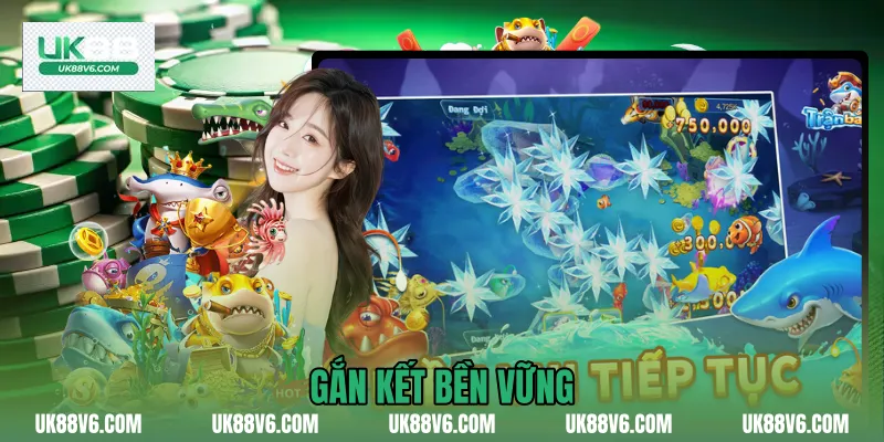 Gắn kết bền vững